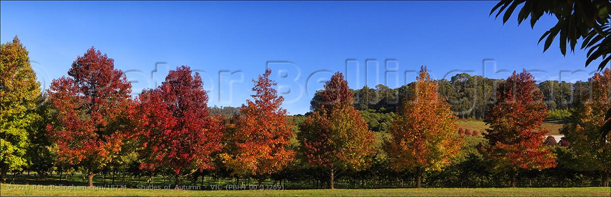 Peter Bellingham Photography Shades of Autumn - VIC (PBH4 00 13269)